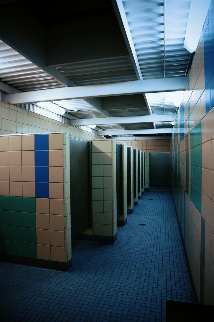 Insta Toilets for Festivals